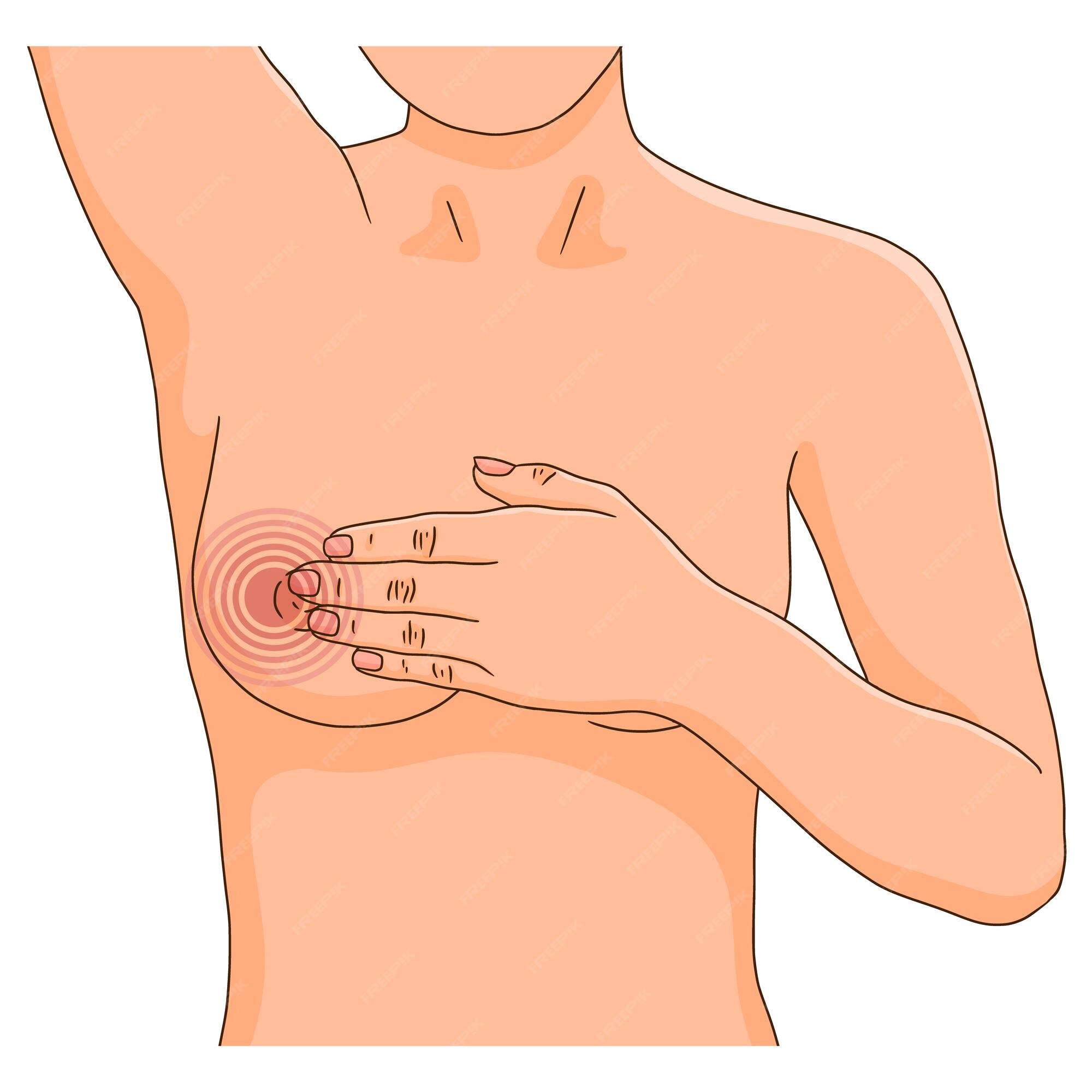30+ Draw A Torso