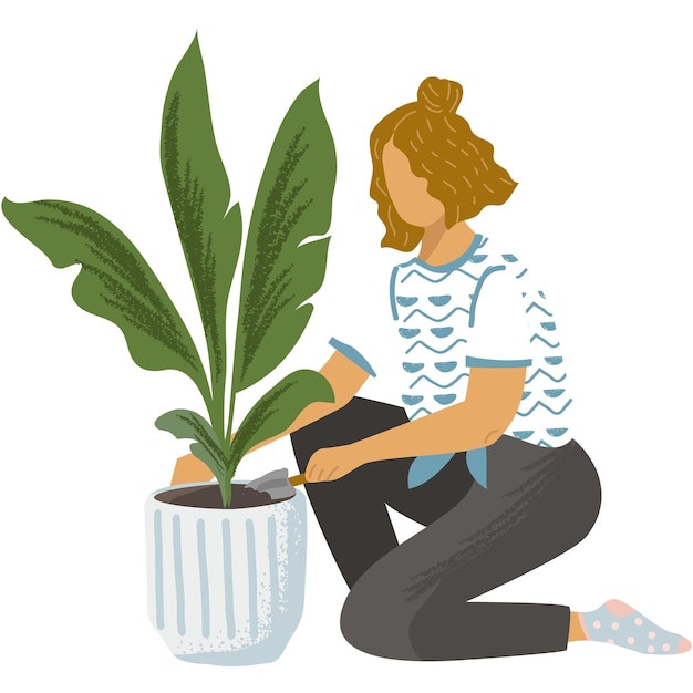 Woman planting flower in pot vector illustration