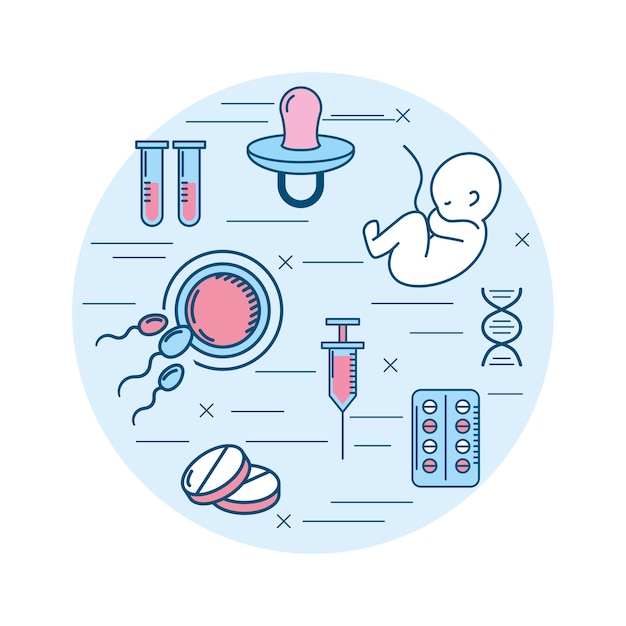 woman pregnancy to reproduction and fertilizacion process