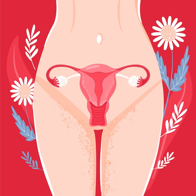 Vector woman reproductive health. uterus