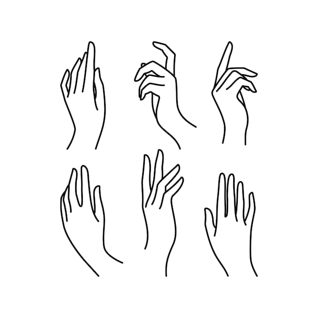 Woman's hand icon collection line. Vector Illustration of Elegant female hands of different gestures. Lineart in a trendy minimalist style.