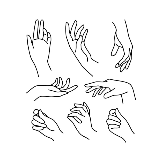 Linea di raccolta dell'icona della mano della donna. illustrazione vettoriale di mani femminili eleganti di gesti diversi. lineart in uno stile minimalista di tendenza.