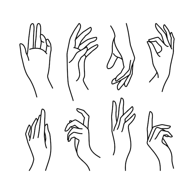 Linea di raccolta dell'icona della mano della donna. illustrazione vettoriale di mani femminili eleganti di gesti diversi. lineart in uno stile minimalista di tendenza.