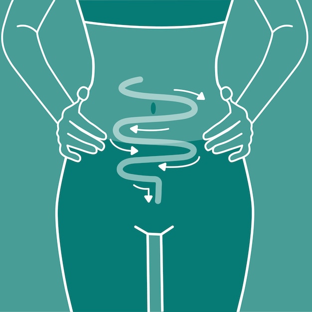 Vector woman silhouette intestine regularity