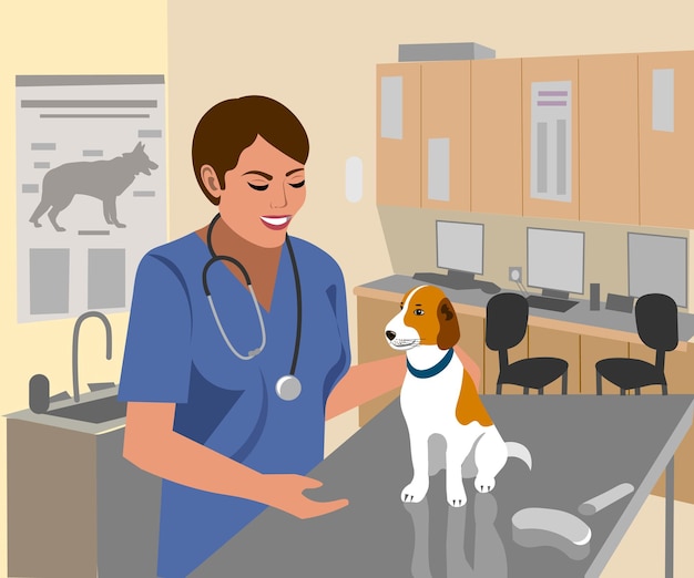 woman veterinarian treats  dog