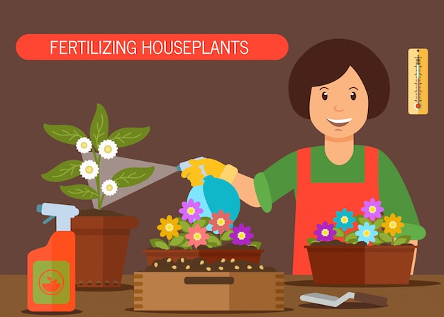 Woman watering house plant vector illustration