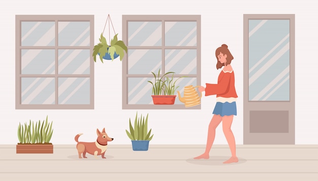 Woman watering house plants on balcony or in room. Modern interior flat cartoon illustration.