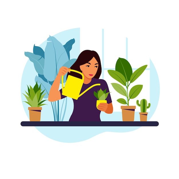 Vector woman watering houseplants at home. lifestyle, home garden and houseplants concept. flat vector illustration.