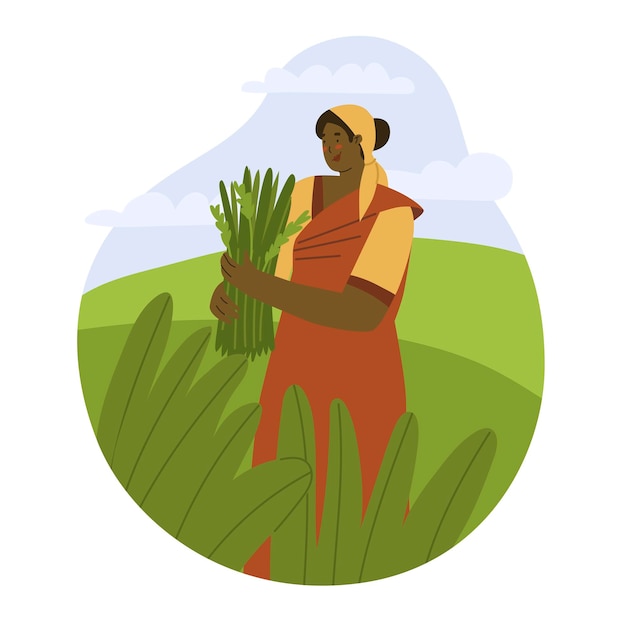 Vector woman worker is harvests rice in the field rice planting in asia natural farming hard manual labor