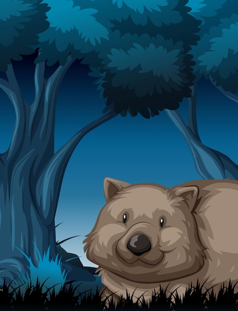 Wombat in de nachtscène van de natuur