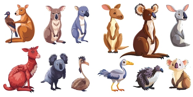 Vector wombat and ostrich emu platypus and echidna in cartoon style