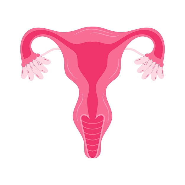 Women health Uterus Floral Ovary reproductive system Concept