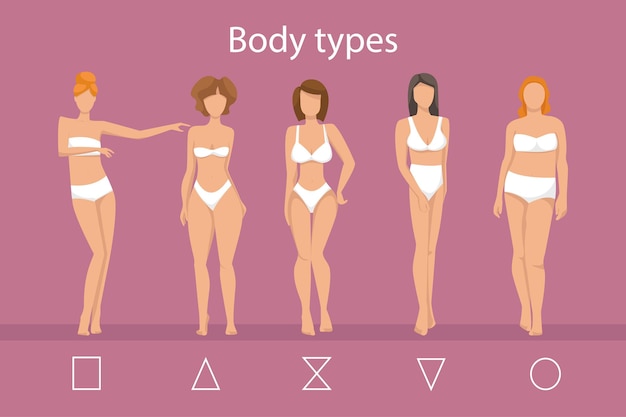 Vector women in lingerie showing different body shapes