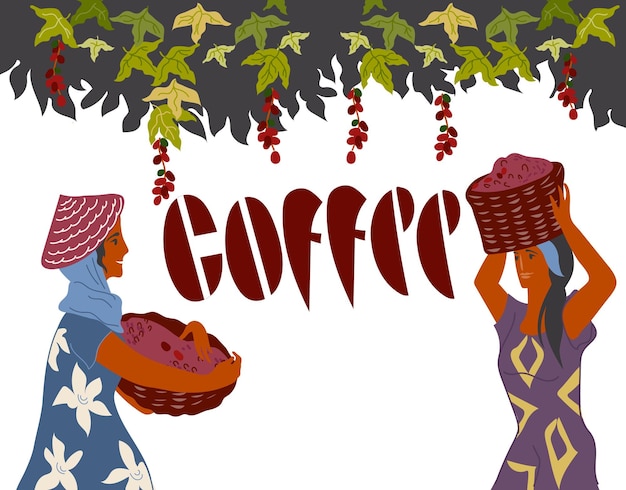 Women pick coffee beans from the bush on plantation and Coffee lettering