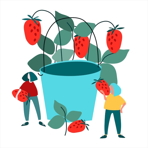 Illustrazione vettoriale delle donne che raccolgono fragole concetto di raccolta concetto di agriturismo concetto pickyourown illustrazione disegnata a mano in stile piatto astratto