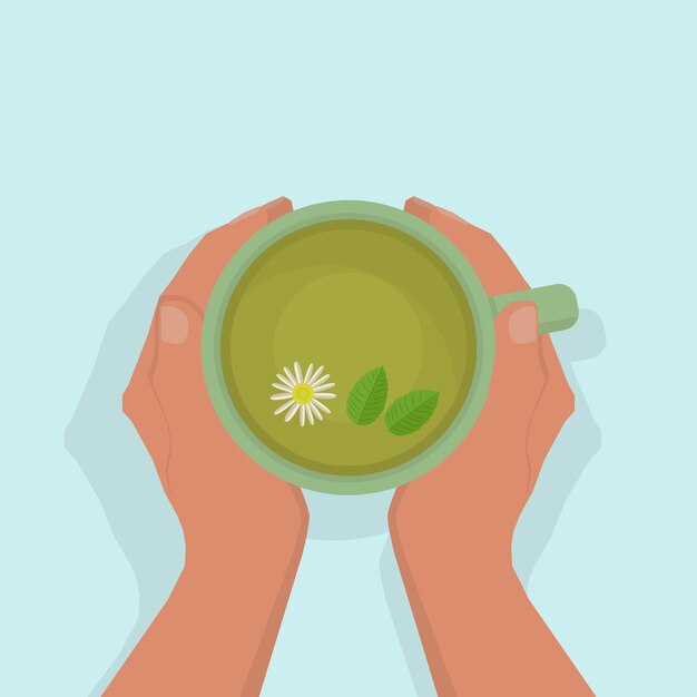 Women's hands are warming, gently holding a cup of green tea, with chamomile and mint. view from above. on a light blue background, with shadow. flat style.