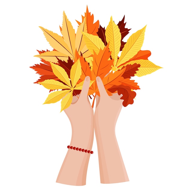Women's hands hold a bouquet of autumn leaves. Seasonal vector illustration.