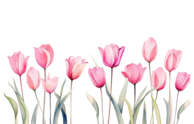 Womens day greeting card with tulips