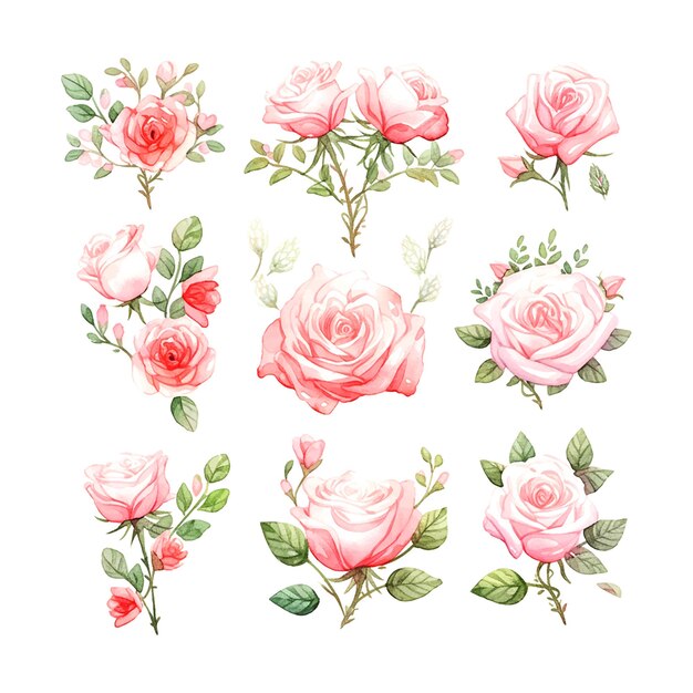 Womens Day Rose set watercolor