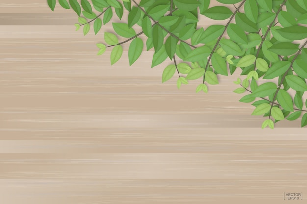 Wood background and green leaves.