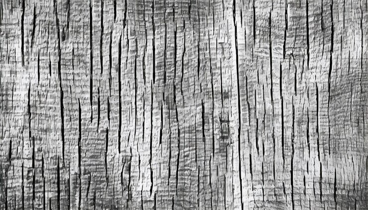 Vector wood background vintage black and white wooden texture background monochrome texture wood texture
