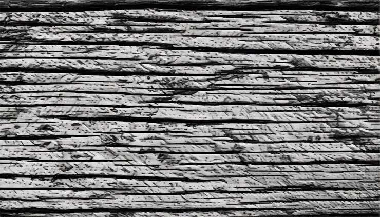Vector wood background vintage black and white wooden texture background monochrome texture wood texture