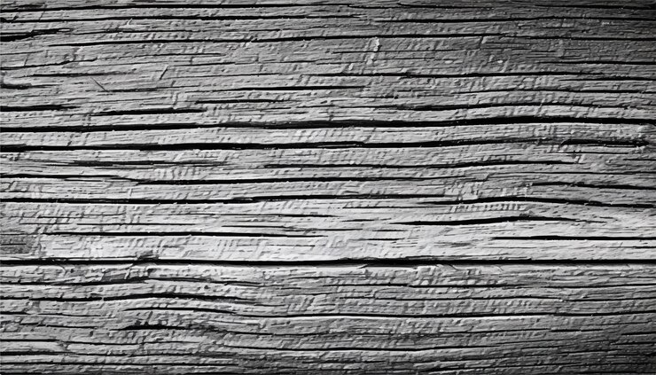 Vector wood background vintage black and white wooden texture background monochrome texture wood texture
