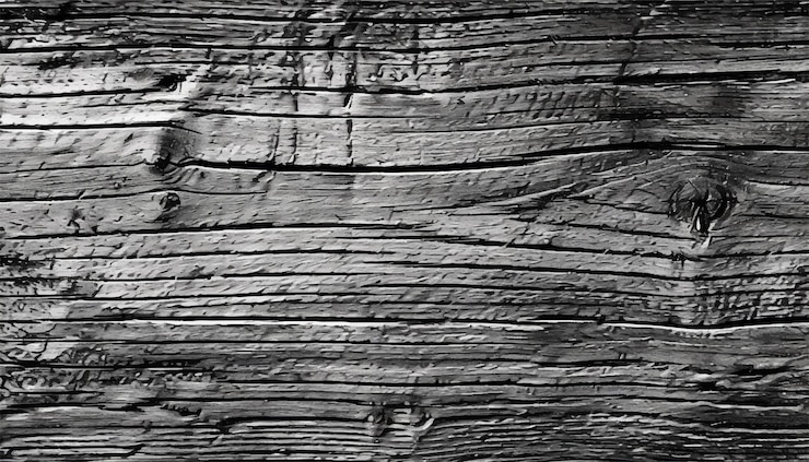 Vector wood background vintage black and white wooden texture background monochrome texture wood texture