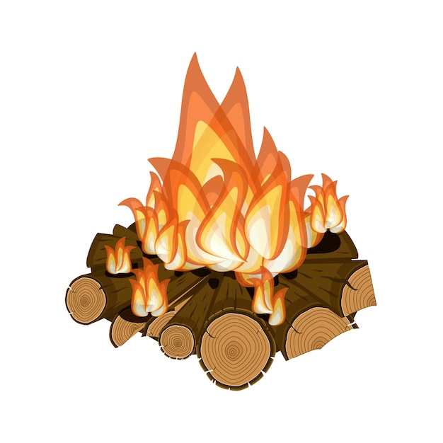 Wood burning, bright campfire isolated on white background.