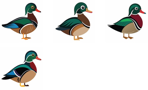 ウッド・ダック (Wood Duck) は白い背景のベクトルアートセットデザインです