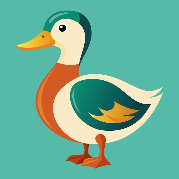Wood duck vector illustratie Drake en hen eenden geïsoleerd op witte achtergrond