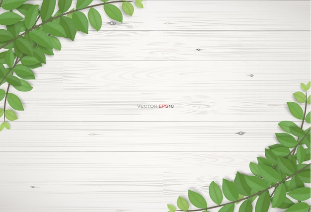 Wood texture background with green leaves. Realistic vector illustration.