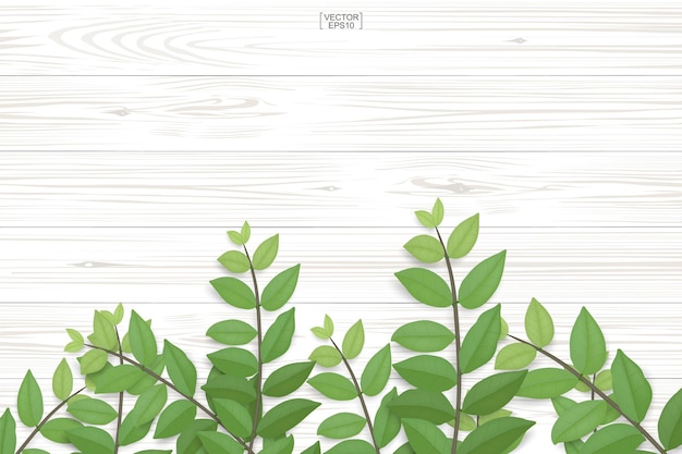 Wood texture background with green leaves. realistic vector illustration.