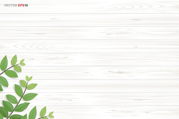 Wood texture background with green leaves. realistic