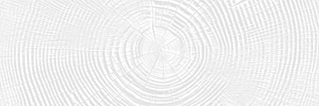 Vector wood texture light gray background