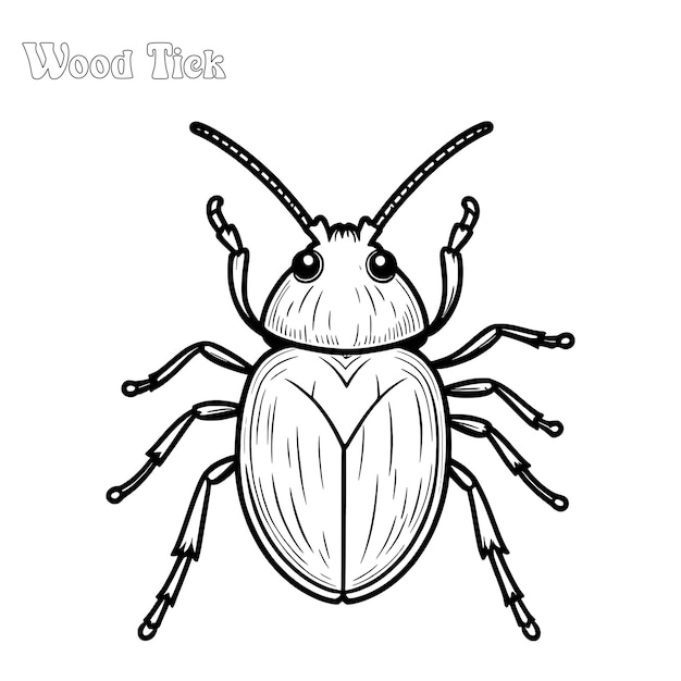 ウッド・ティック (Wood Tick) の手描きのカラーページと概要のベクトルデザイン