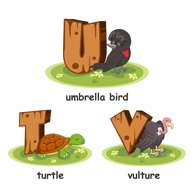 Wooden alphabet animals turtle vulture umbrella bird