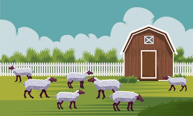 Wooden barn farm house for sheep vector