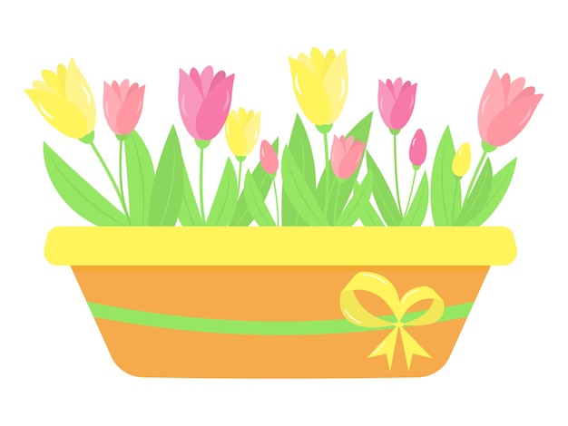 Wooden box decorated bow ribbon with pink and yellow tulips. Spring and gardening concept. Vector illustration.