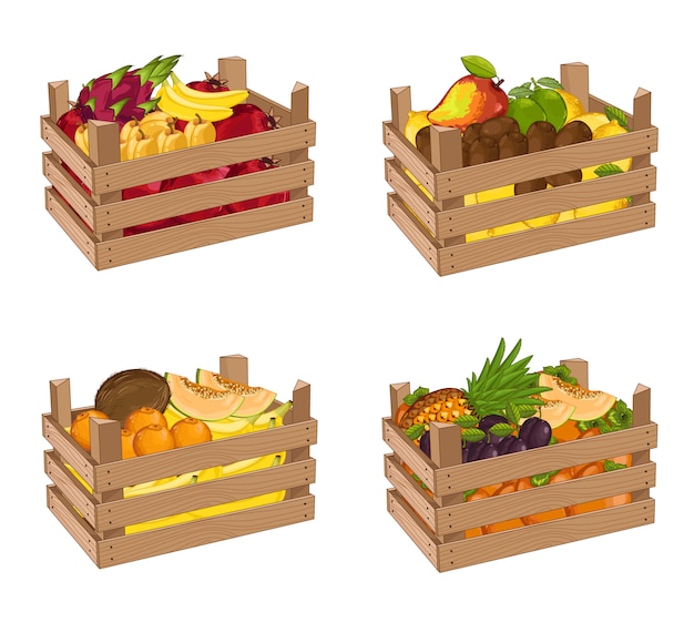 Wooden box full of fruit set isolated vector