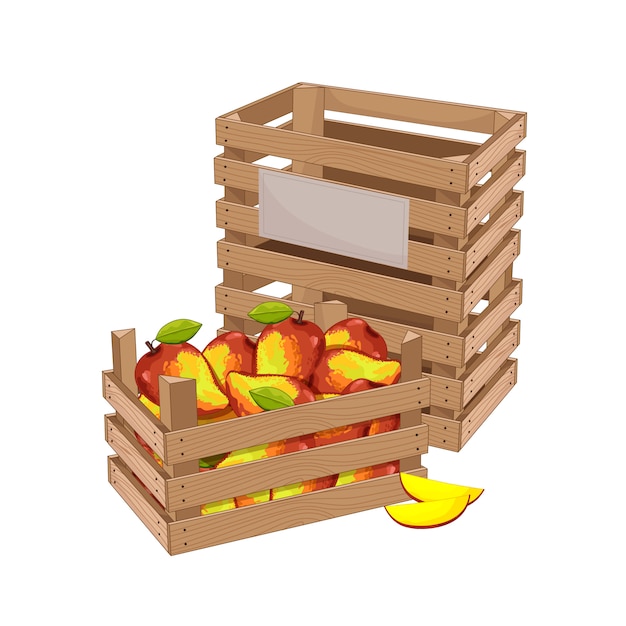 Vector wooden box full of mango