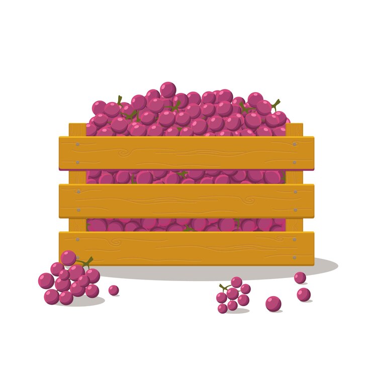 Vector wooden box set with fruits case with grapes isolated on white background