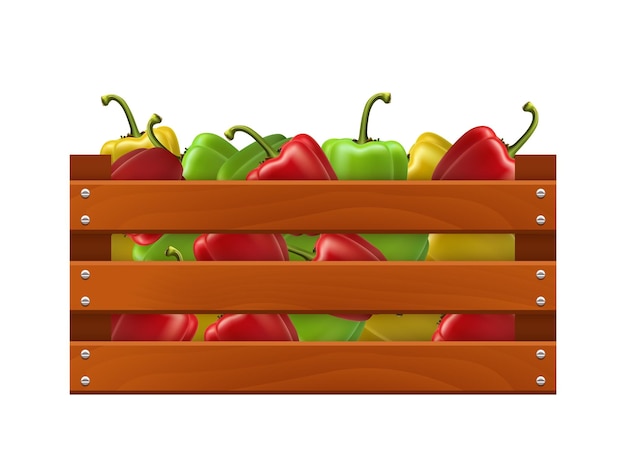 Vector wooden box with bell peppers vector realistic illustration isolated on white background