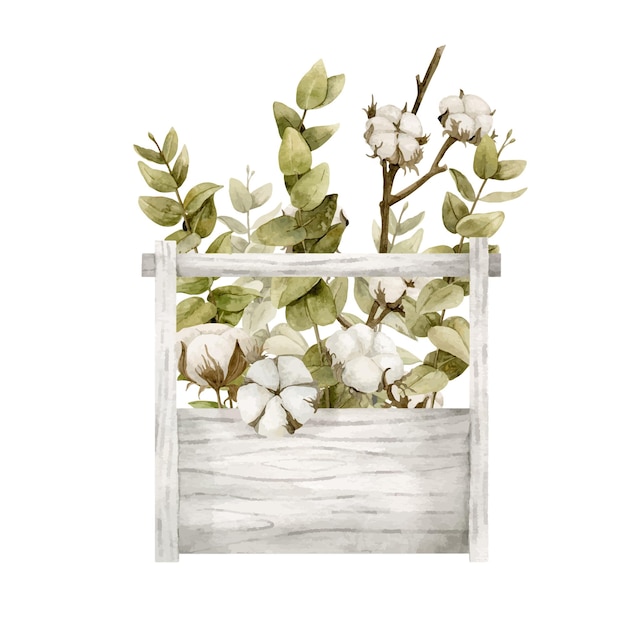 Wooden box with dried white Cotton Flowers and green Eucalyptus in vintage style Hand painted botanical illustration on isolated background for greeting cards or wedding invitations Floral sketch