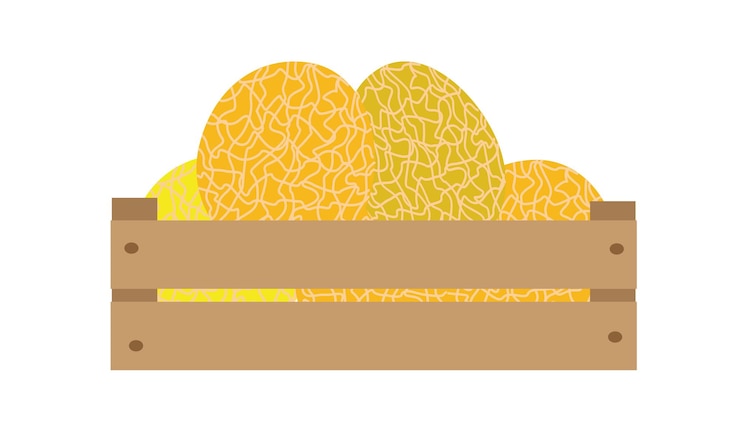 Vector wooden box with melons the concept of healthy organic food vector illustration in a flat style