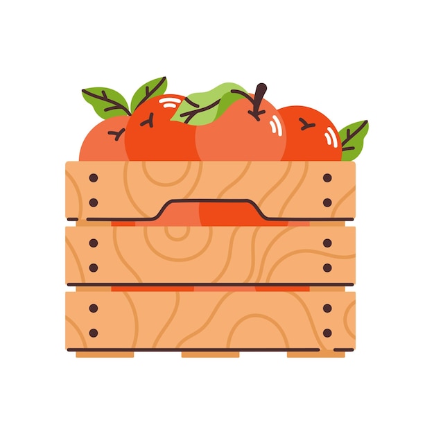 Vettore scatola di legno con arance illustrazione vettoriale
