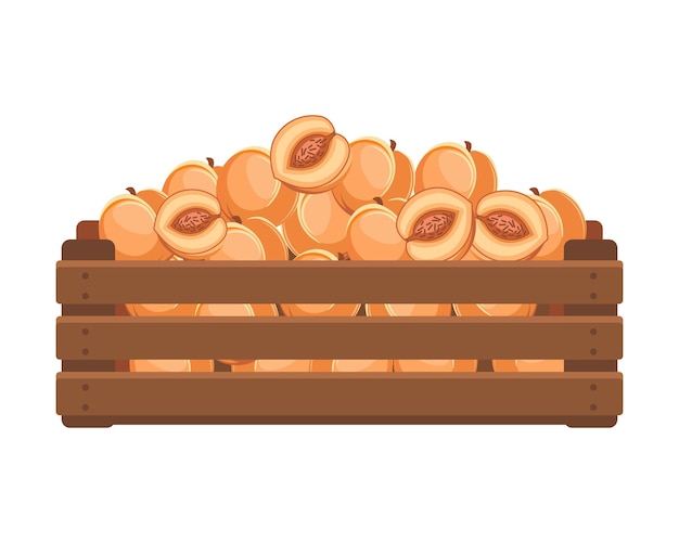 Vector wooden box with ripe peaches healthy food fruits agriculture illustration vector