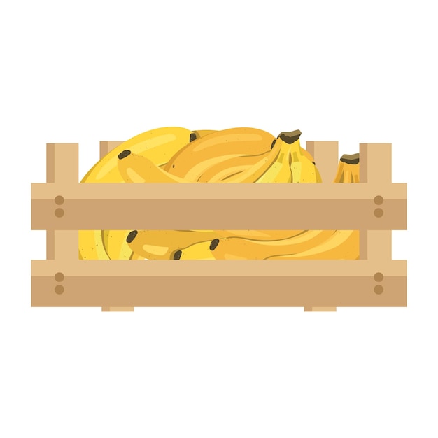 熟した黄色いバナナの木箱甘い食べ物と健康的なデザートおいしいエキゾチックなフルーツベクトルフラットフードイラスト