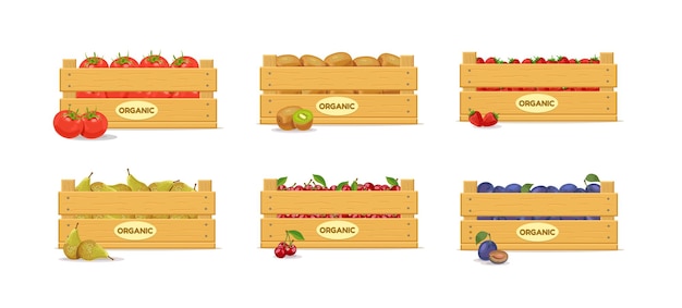 벡터 토마토, 키위, 딸기, 배, 체리, 자두가 든 나무 상자. 세트. 과일 상자 아이콘입니다. 벡터