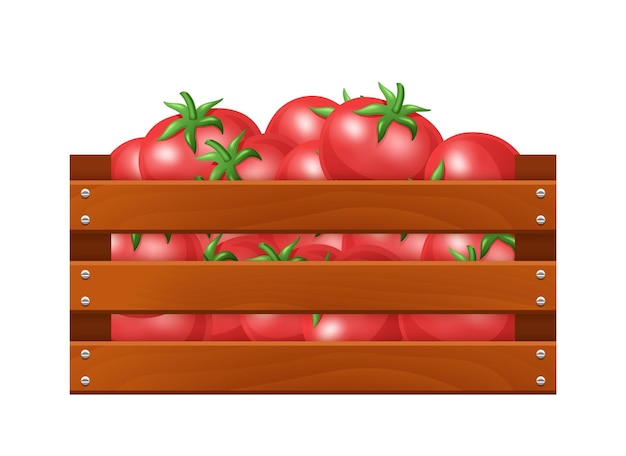 Wooden box with tomatoes Vector clipart isolated on white background